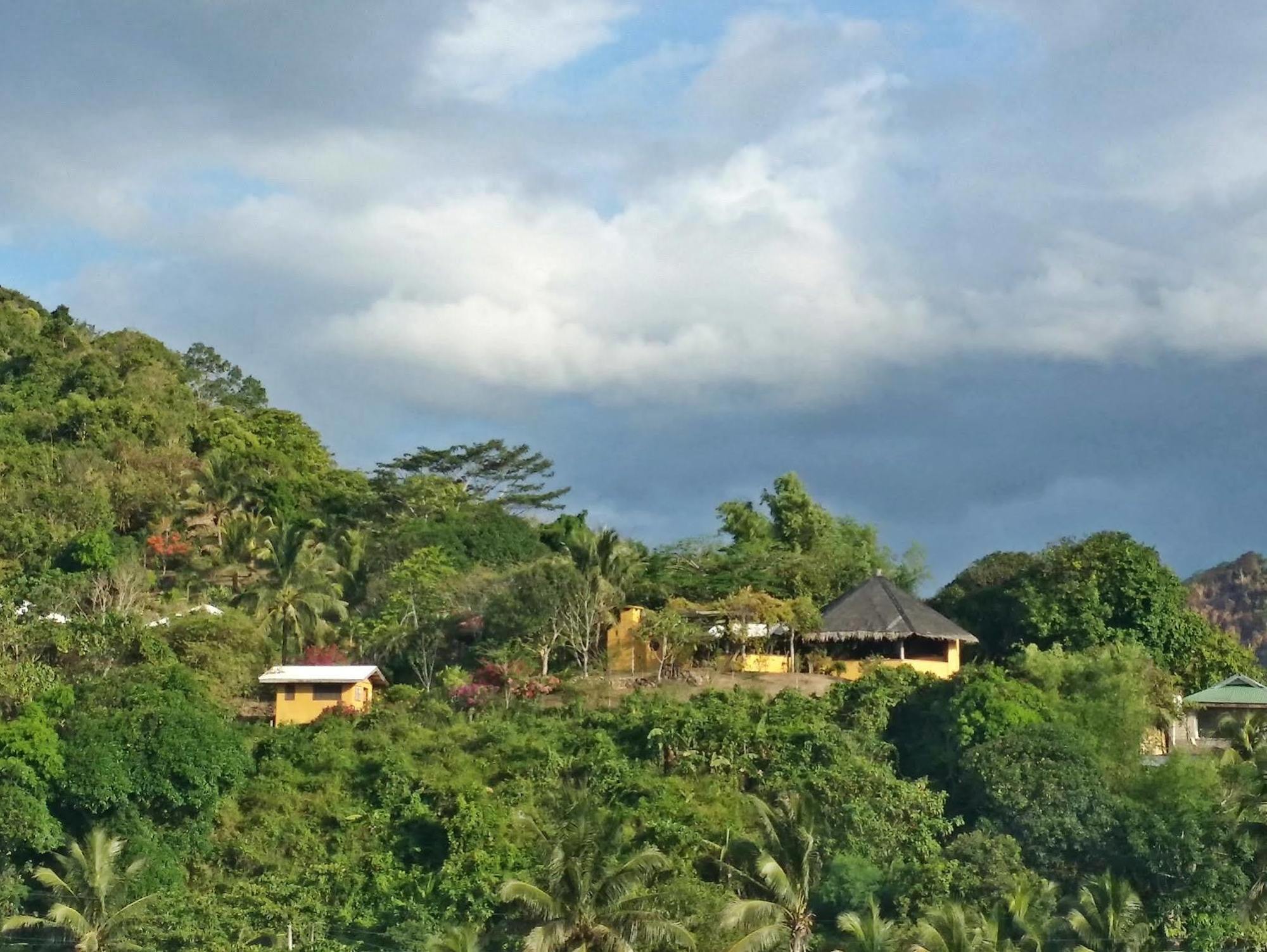 Palawan 泰泰罗莎之家酒店 外观 照片