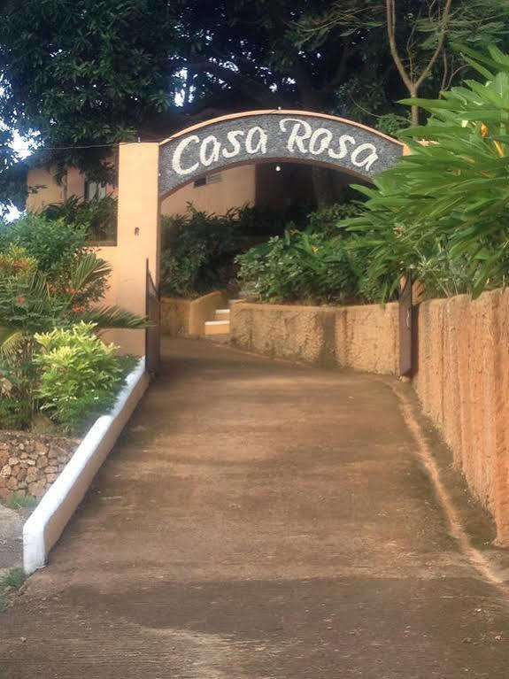 Palawan 泰泰罗莎之家酒店 外观 照片